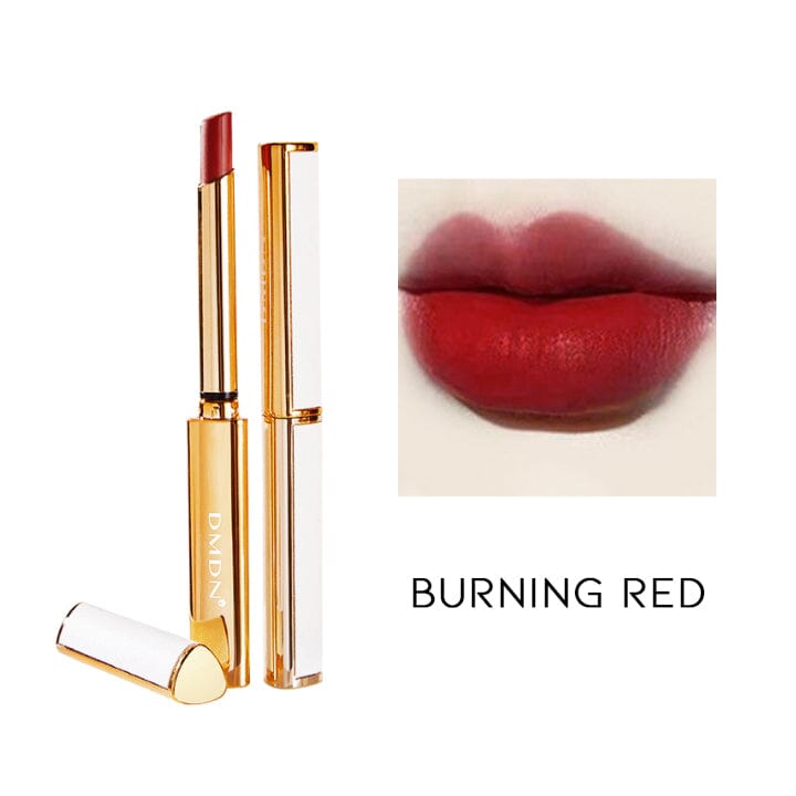 Vegan Leather Matt Lipstick Make-up Every Day And Night Burning Red