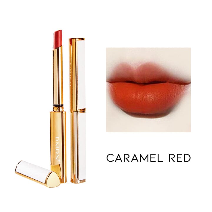 Vegan Leather Matt Lipstick Make-up Every Day And Night Caramel Red