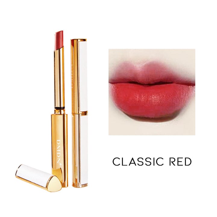 Vegan Leather Matt Lipstick Make-up Every Day And Night Classic Red